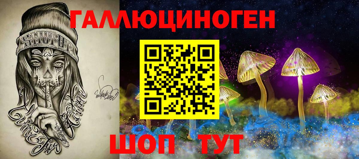 Псков  наркошоп  Вход с VPN  Псилоцибиновые грибы мицелий  Псилоцибиновые грибы Cubensis 